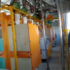 8臺磨平篩清粉機打包稱設(shè)備