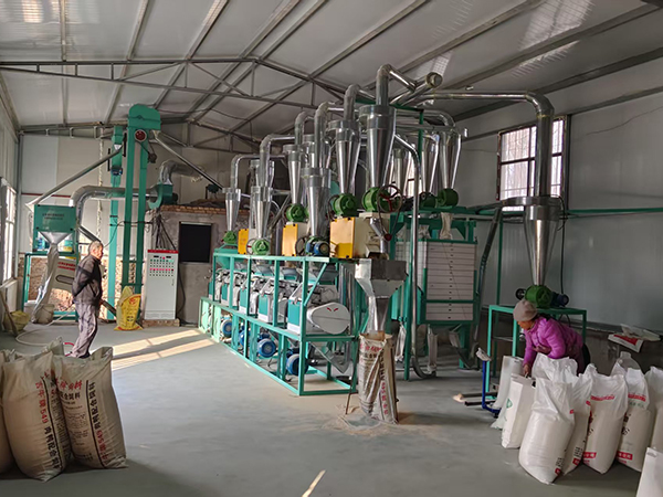 如何選擇合適的50噸面粉加工設(shè)備？鑫峰面粉機械小編告訴您