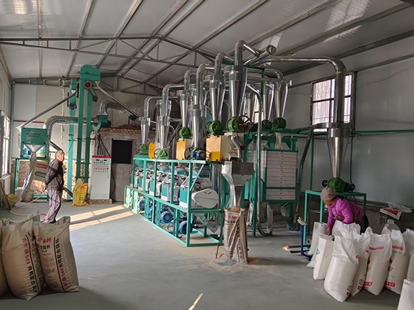 如何選擇合適的50噸面粉加工設(shè)備？鑫峰面粉機(jī)械小編告訴您